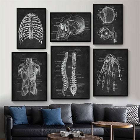 Muscular System Poster Etsy