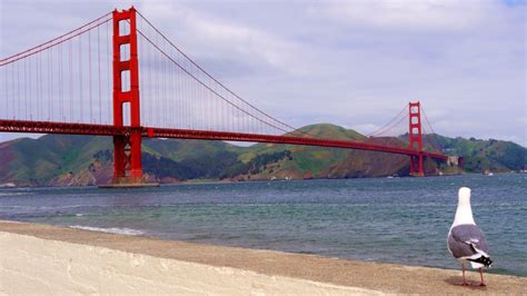 30 curiosidades de San Francisco que probablemente no sabías