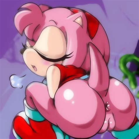 401242 Amy Rose Sonic Team Amy Rose Furries Pictures Pictures