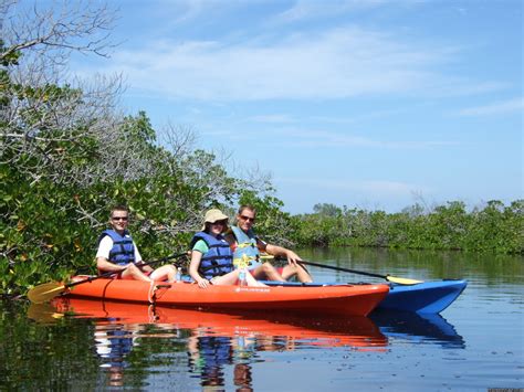 Adventure Kayaking To Bio Bay Or Central Wetlands Rum Point Cayman