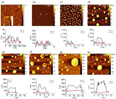 Atomic Force Microscopy Afm Images Tapping Mode And The