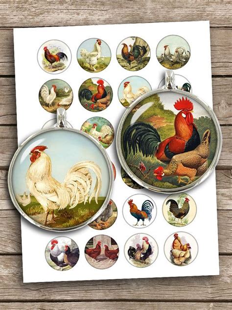 Poultry Hens And Roosters 25mm 15 1 30mm Circle Images For Cabochons