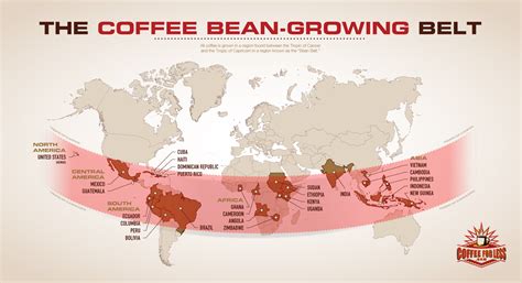Dark roast blonde roast 18 count. The Coffee Bean Growing Belt