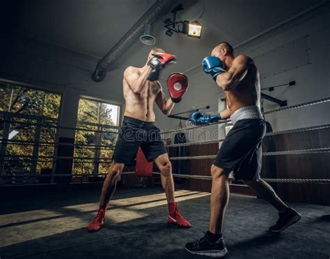Two Sportive Men Have A Boxing Competition On The Ring Stock Image