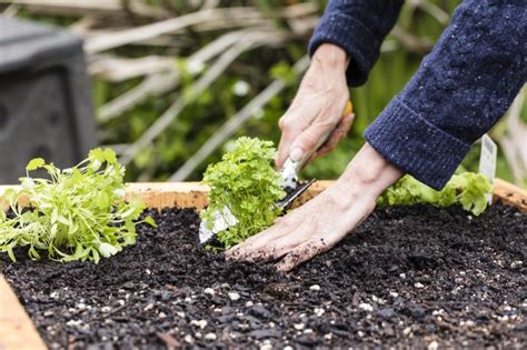 The Surprising Health Benefits Of Gardening Readers Digest Canada