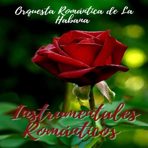 Románticos Album By Orquesta Romántica De La Habana Spotify