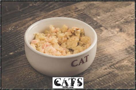 Sep 19, 2011 · how long can a wine be stored upright before the cork begins to dry out, and should these stores be called on their practice? How Long Can Wet Cat Food Sit Out? 1 Hour Max - CatsDom