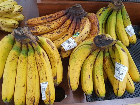 Pisang Berangan Bananas Information Recipes And Facts