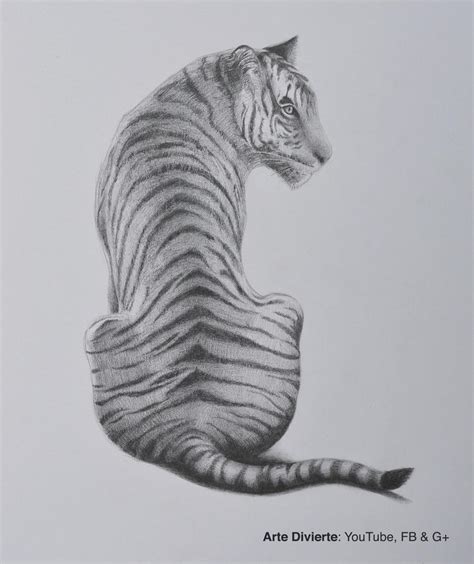 Como Dibujar Un Tigre A Lapiz By LeonardoPereznieto On DeviantArt