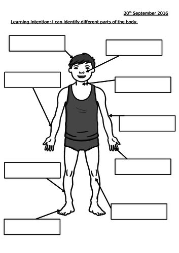 Parts Of The Body Labeling Sheet Teaching Resources
