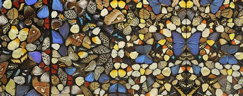 Painting Collage Damien Hirst Real Butterflies Canvases Art For