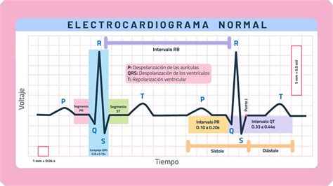 Electrocardiograma Normal Javier Rios UDocz