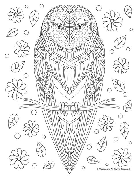 Coloring Pages Of Realistic Owl Lautigamu