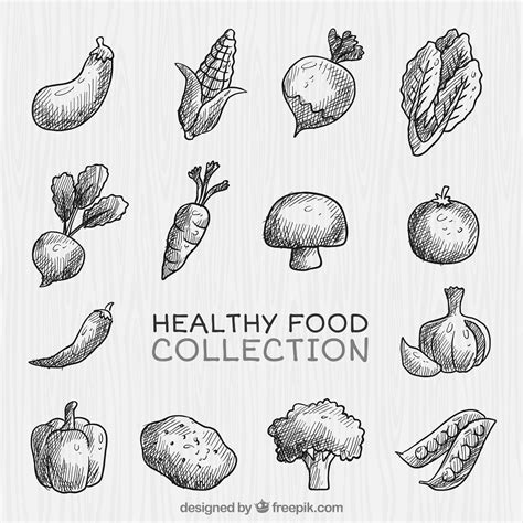 Premium Vector Hand Drawn Healthy Vegetables Collection