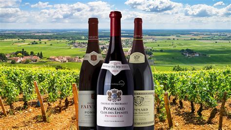 10 Most Popular French Wine Appellations Tasteatlas