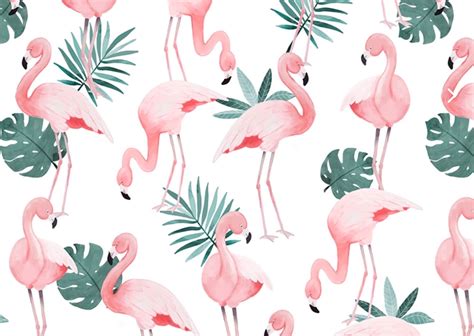 27 Flamingo Wallpaper Desktop Richa Wallpaper