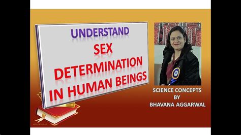 sex determination in human beings youtube