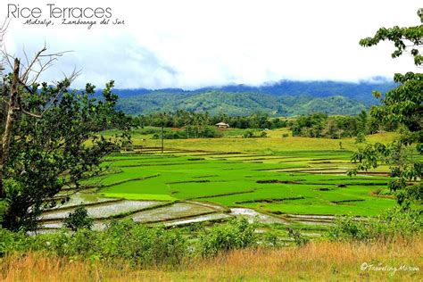 Traveling Morion Travel Photography Postcard Series Rice Terraces