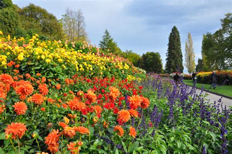Island of Flowers: Mainau Island Lake Constance | Pommie Travels