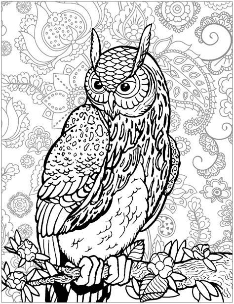 Hidden Animals Adult Coloring Pages