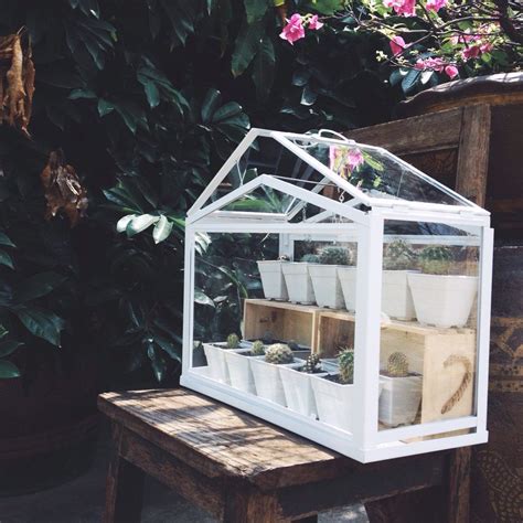 Ikea Terrarium Greenhouse For My Cactus Diy Greenhouse Indoor