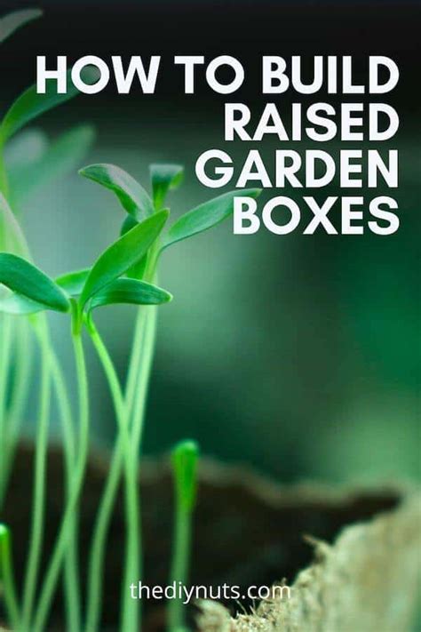 How To Build Diy Raised Garden Boxes And Beds Flowyline Style