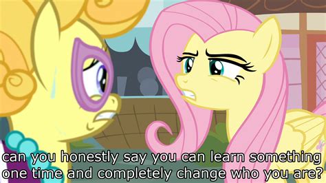 1514431 Angry Annoyed Assertive Assertive Fluttershy Edit