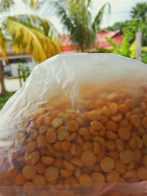 Kacang kuda yang direbus sering dijual sebagai makanan ringan. BREAKING THE IMPOSSIBLE : KHASIAT & KEBAIKAN KACANG DHAL