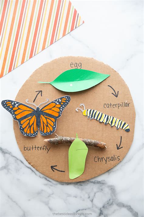 Butterfly Life Cycle Preschool Craft