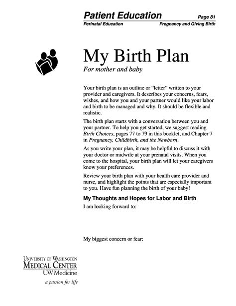 47 Printable Birth Plan Templates Birth Plan Checklist Templatelab
