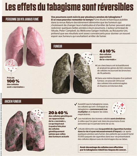 Les Effets Du Tabagisme Sont Réversibles Jdq