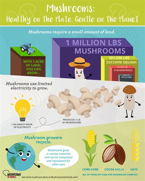 Five Fun Mushroom Facts For Kids And Educators Mushrooms In Schools