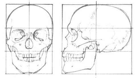 Skulls Drawing Pencil Art Drawings Art Drawings Sketches Simple