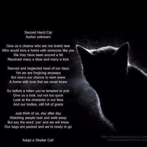 Pin By Karen Eshe On Random Pet Thoughts Cat Poems Pet Poems Cats