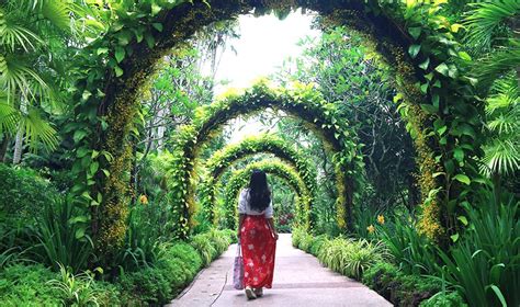 Reserving tickets for free day is just like reserving tickets for any other day, except admission is free. The best parks in Singapore for a day in the garden city ...