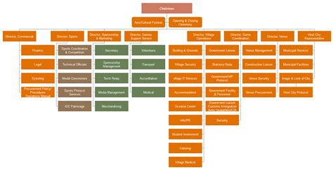 Rio 2016 Olympic Games Organizational Chart Olympics Olympic Games