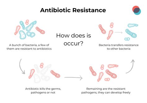 Antibiotic Resistance Labtoo