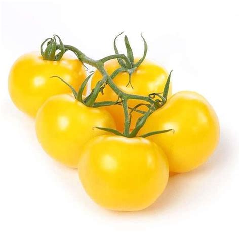 Hydro Sweet Yellow Cherry Tomatoes Bali Direct Balis Online Whole