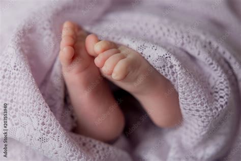 Legs Of A Newborn Baby Babys Feet Baby Feet On Purple Background