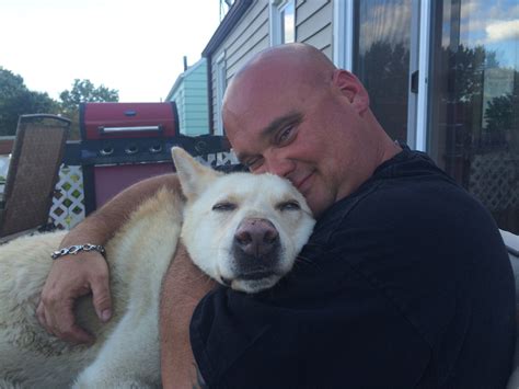 Pat And Jack Wolf Hybrid Labrador Retriever Labrador