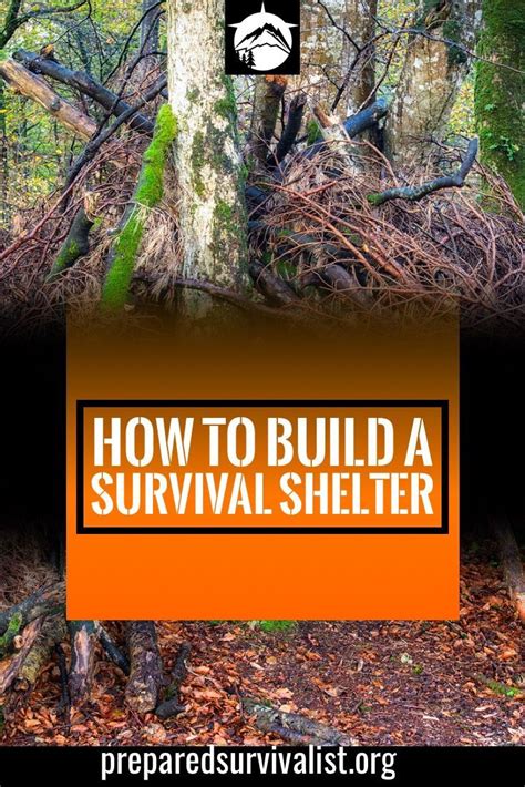 How To Build A Survival Shelter In 2022 Survival Survival Shelter