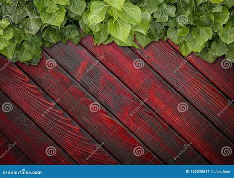 Wood Texture Background Ivy Stock Image Image Of Garden Frame