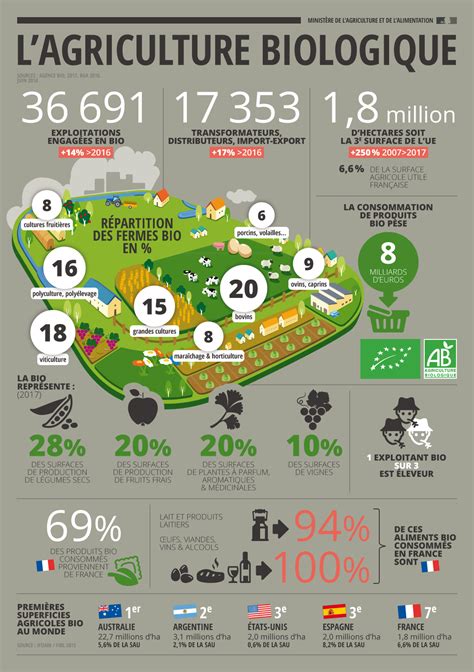 Lagriculture Biologique En France Données 2017 Infografica