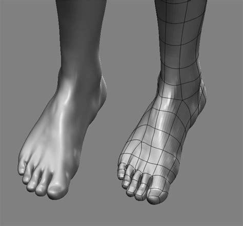 Pin On 3d Model The Foot