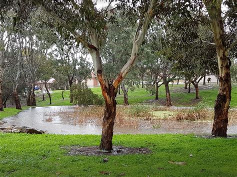 Sheidow Park South Australia After The Arctic Weather August 2019 Park South South Australia