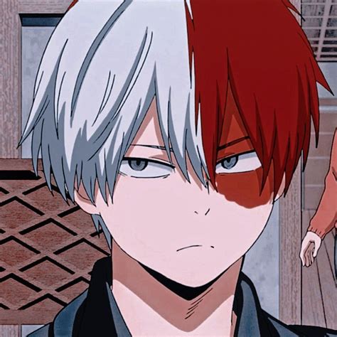 Bnha Aesthetic Pfp Todoroki Statues Images And Photos Finder
