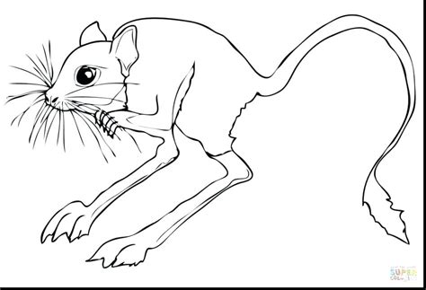Find the best desert background on getwallpapers. Desert Tortoise Coloring Page at GetColorings.com | Free ...