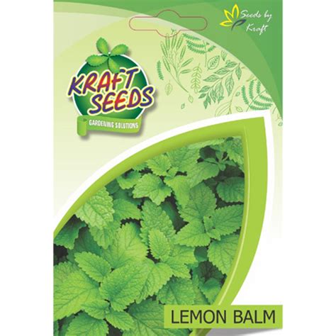 Lemon Balm Herb Seeds At Rs 140 Pack In Delhi Id 6138264 Kraft Seeds