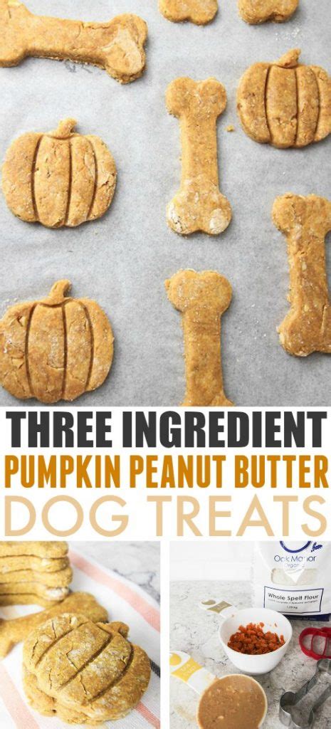 Three Ingredient Pumpkin Peanut Butter Dog Treats The Creek Line House