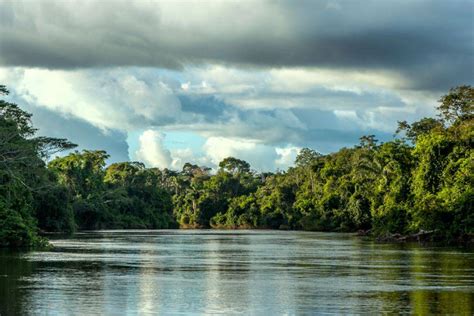 Justiça Determina Extinção Do Parque Estadual Cristalino Ii No Mato
